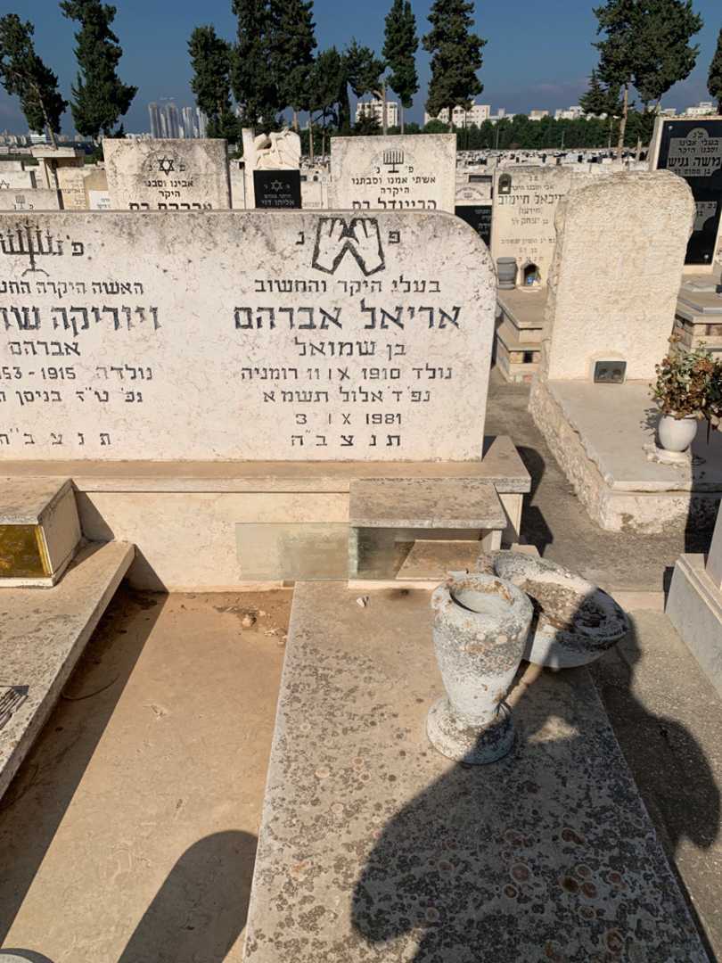 קברו של אריאל אברהם. תמונה 2