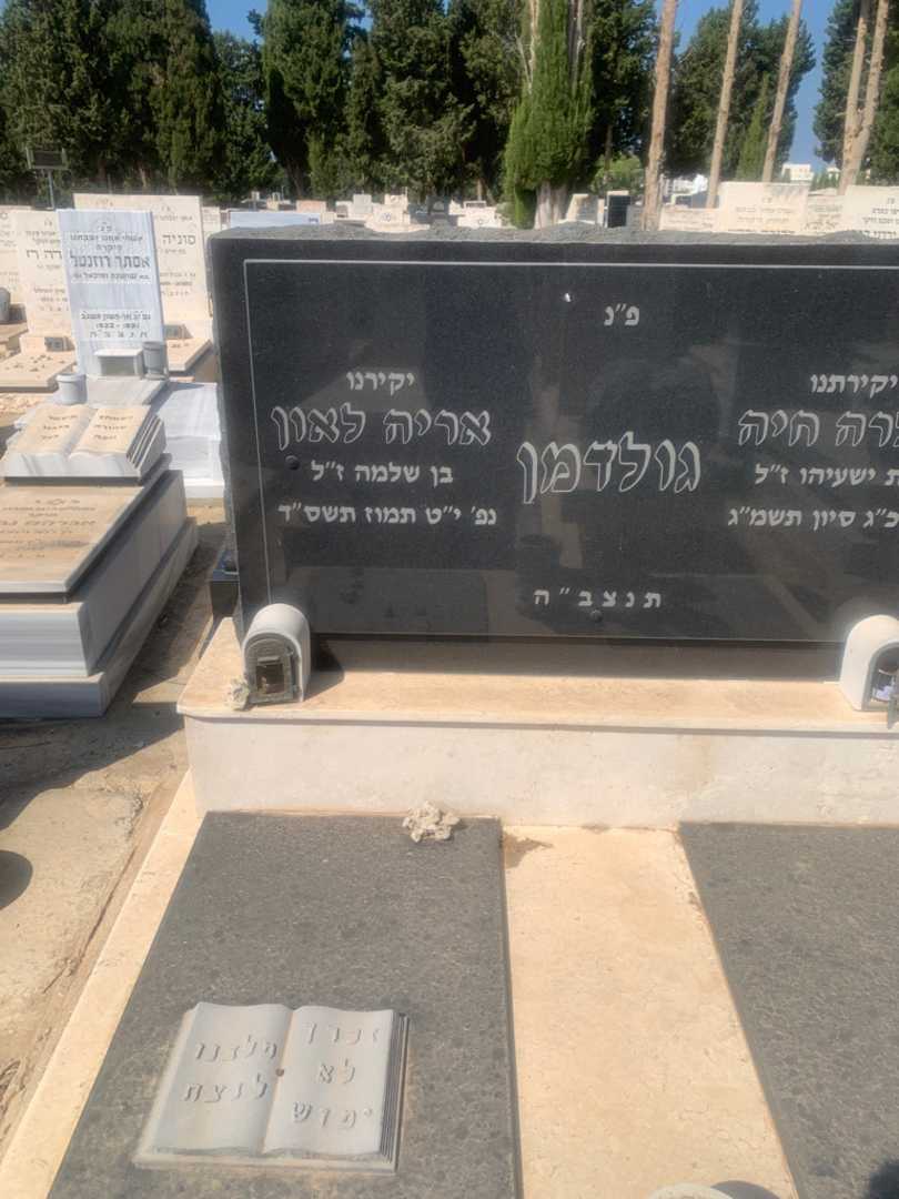 קברו של אריה לאון גולדמן. תמונה 2