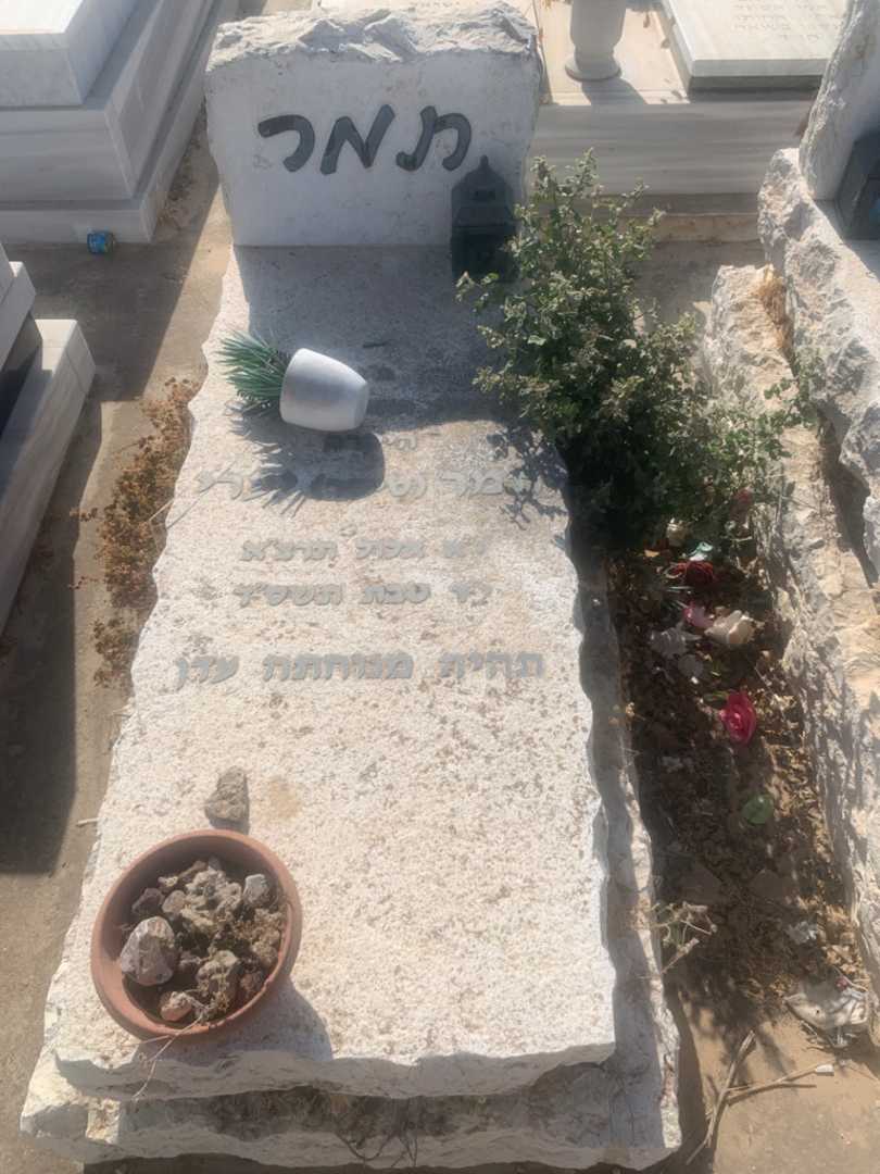 קברו של תמר "טיקר" יערי. תמונה 1