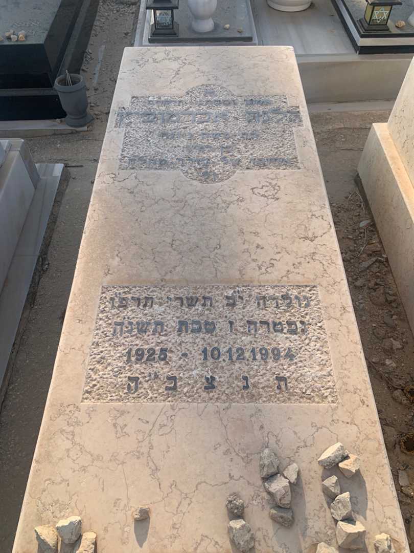 קברו של הלנה אברמוביץ