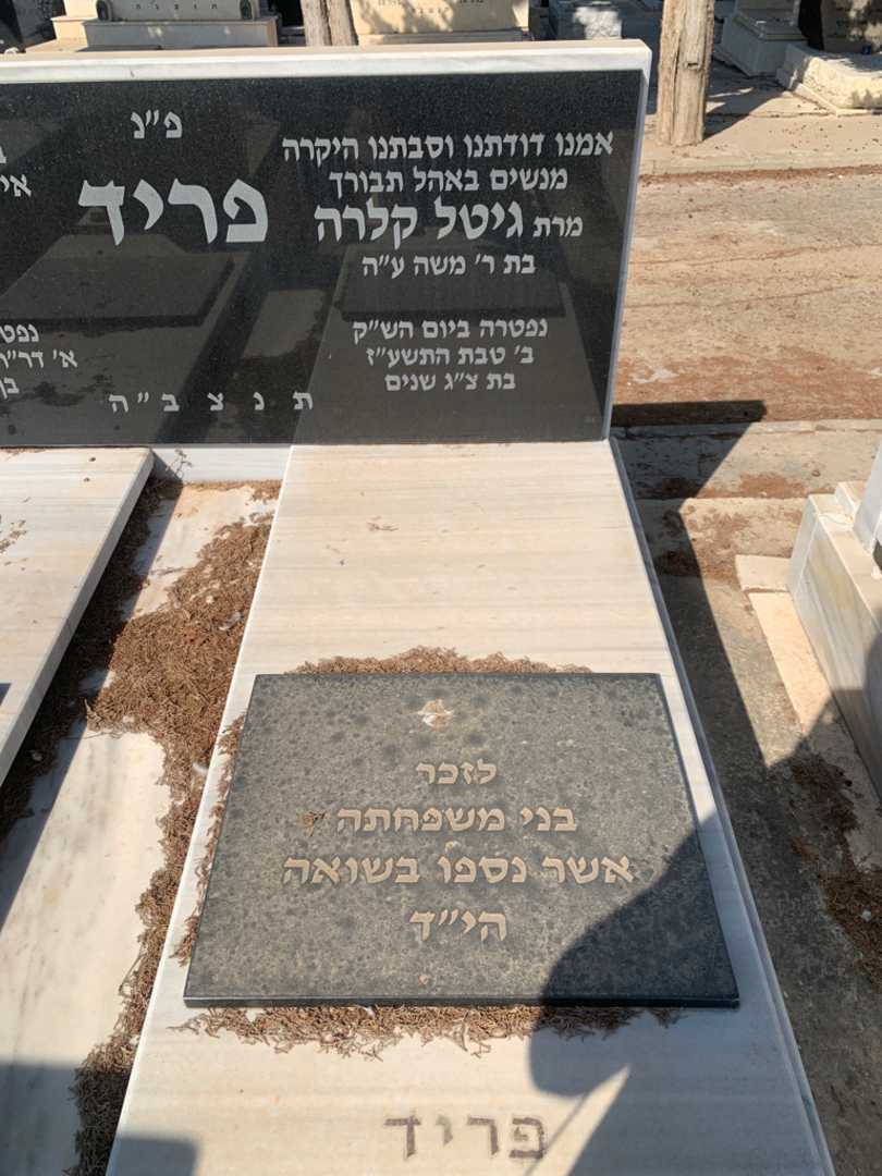 קברו של גיטל קלרה פריד. תמונה 2