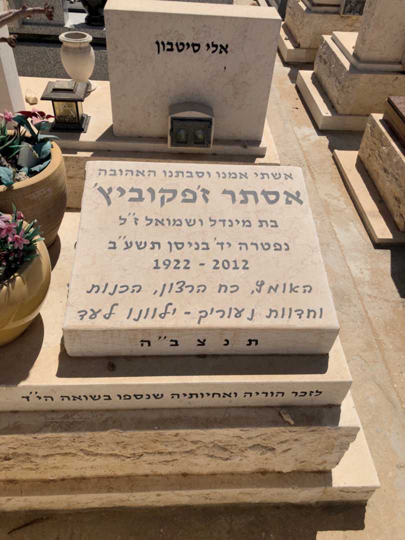 קברו של אסתר ז׳פקוביץ׳. תמונה 1