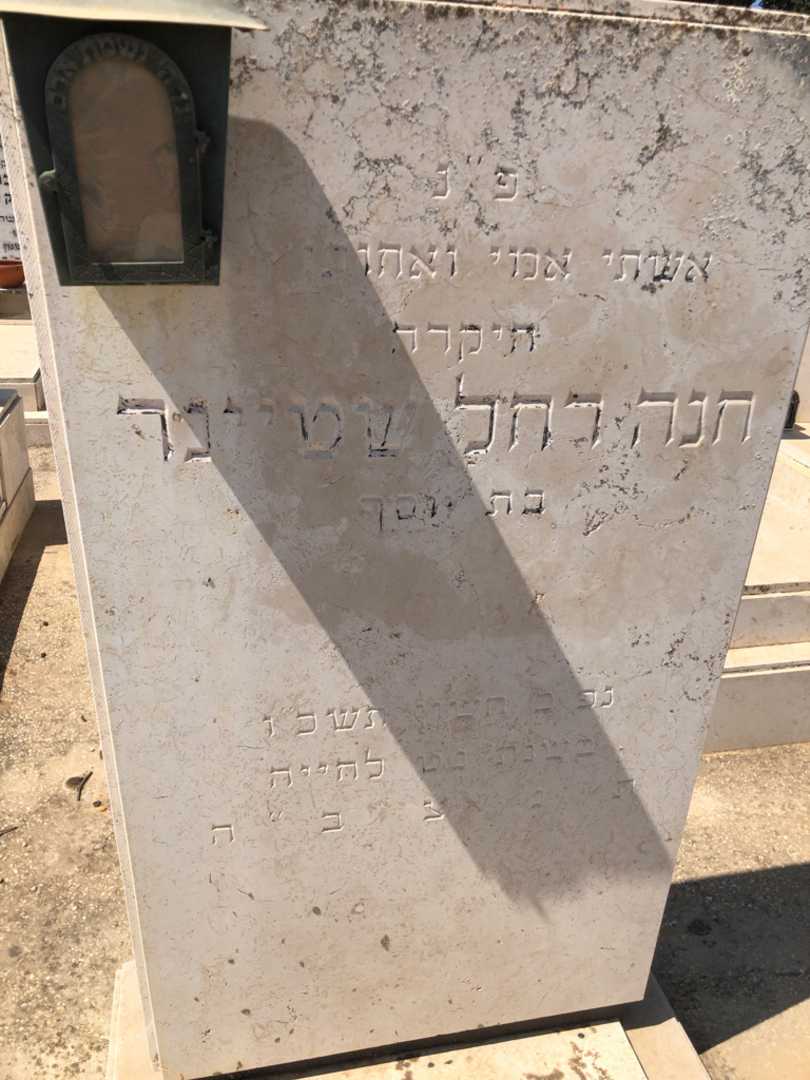 קברו של חנה רחל שטיינר. תמונה 2