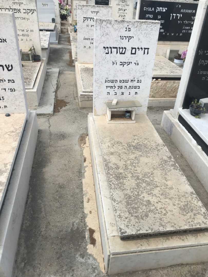 קברו של חיים שרוני