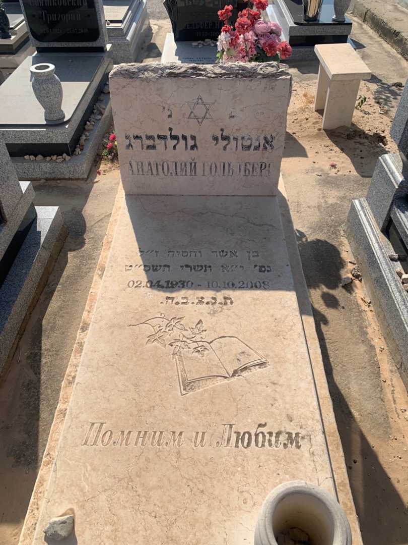 קברו של אנטולי גולדברג