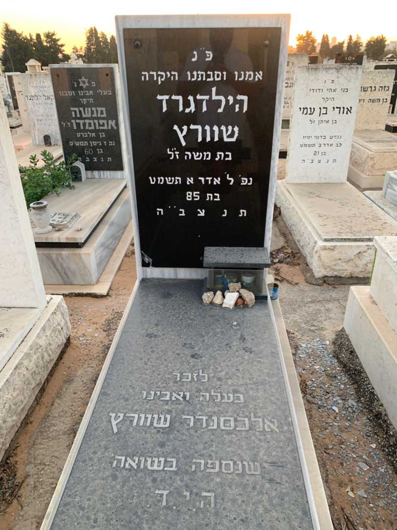 קברו של אלכסנדר שוורץ