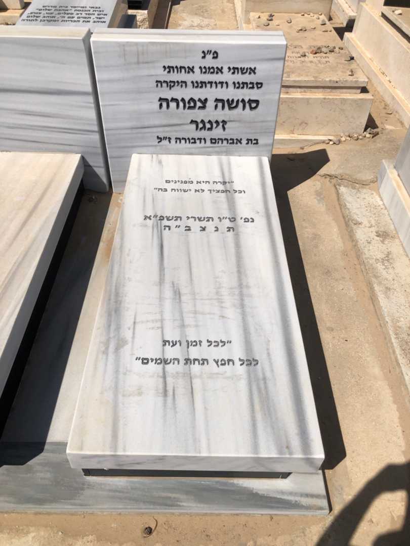 קברו של סושה  צפורה זינגר. תמונה 1