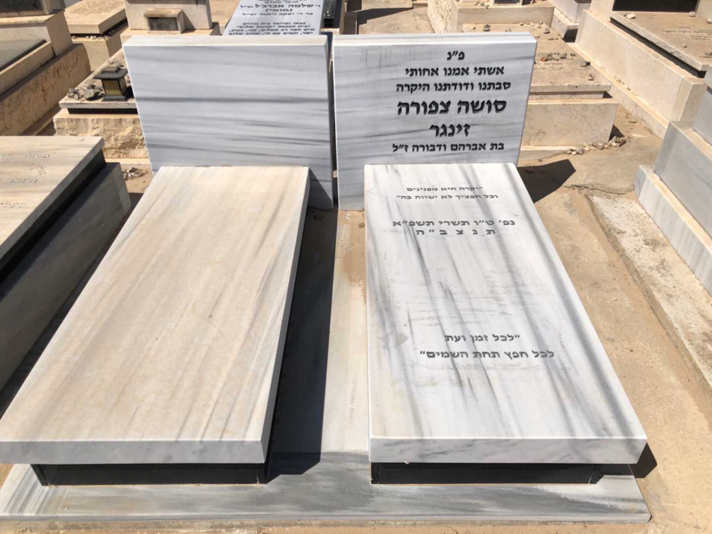 קברו של סושה  צפורה זינגר. תמונה 2