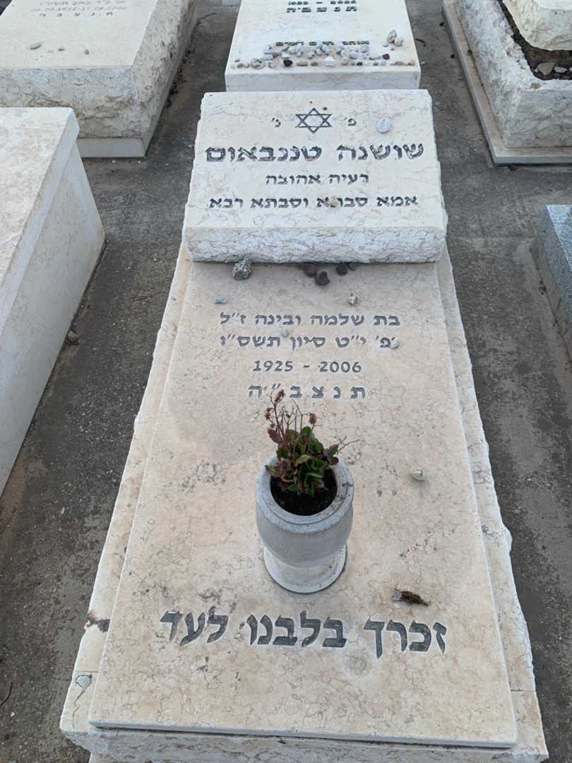 קברו של שושנה טננבאום