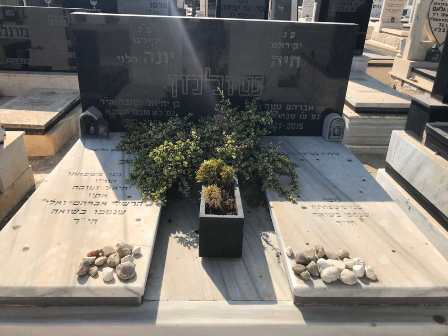 קברו של חיה שולמן. תמונה 1