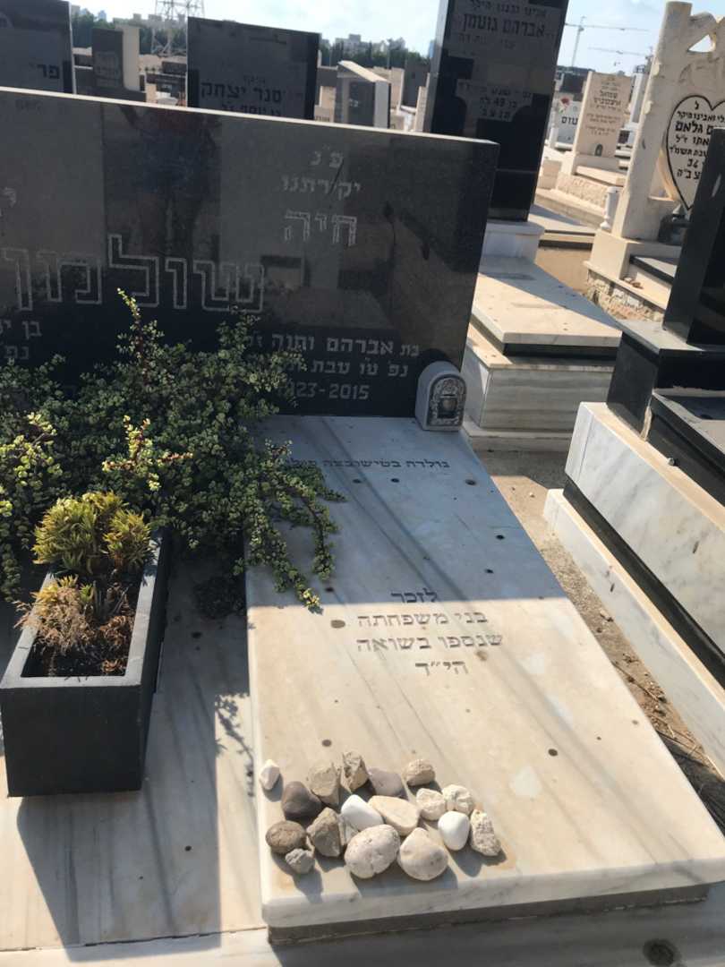 קברו של חיה שולמן. תמונה 2