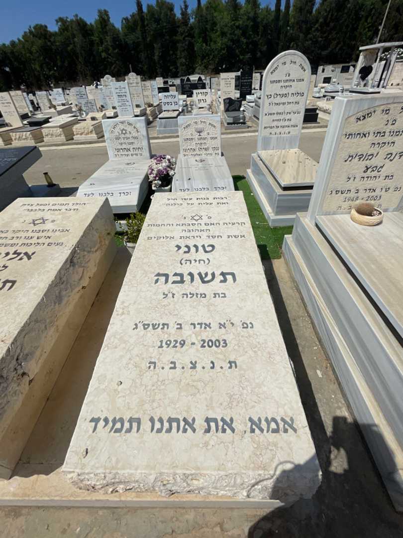 קברו של טוני "חיה" תשובה. תמונה 1