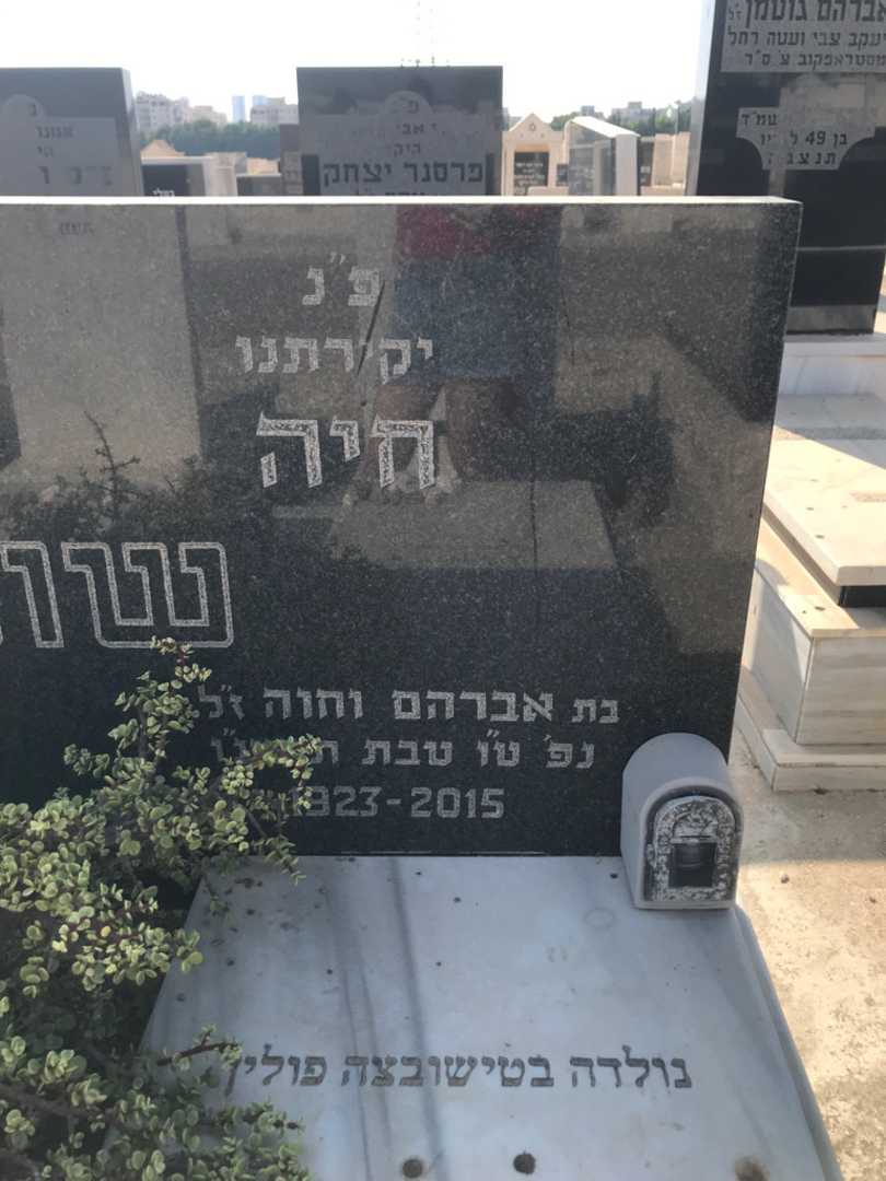 קברו של חיה שולמן. תמונה 3