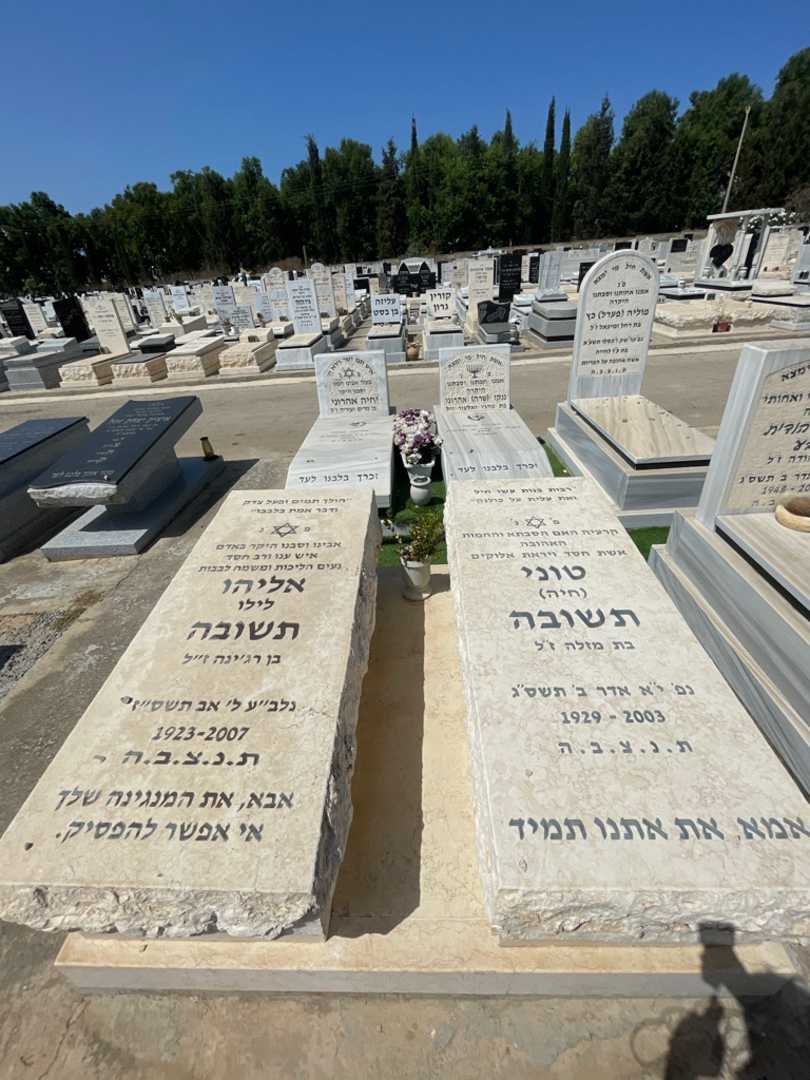 קברו של טוני "חיה" תשובה. תמונה 2