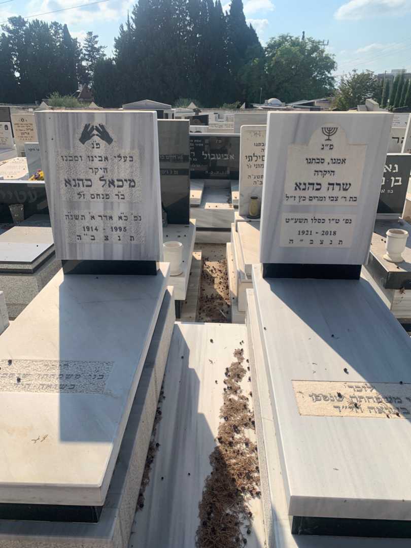 קברו של מיכאל כהנא. תמונה 1