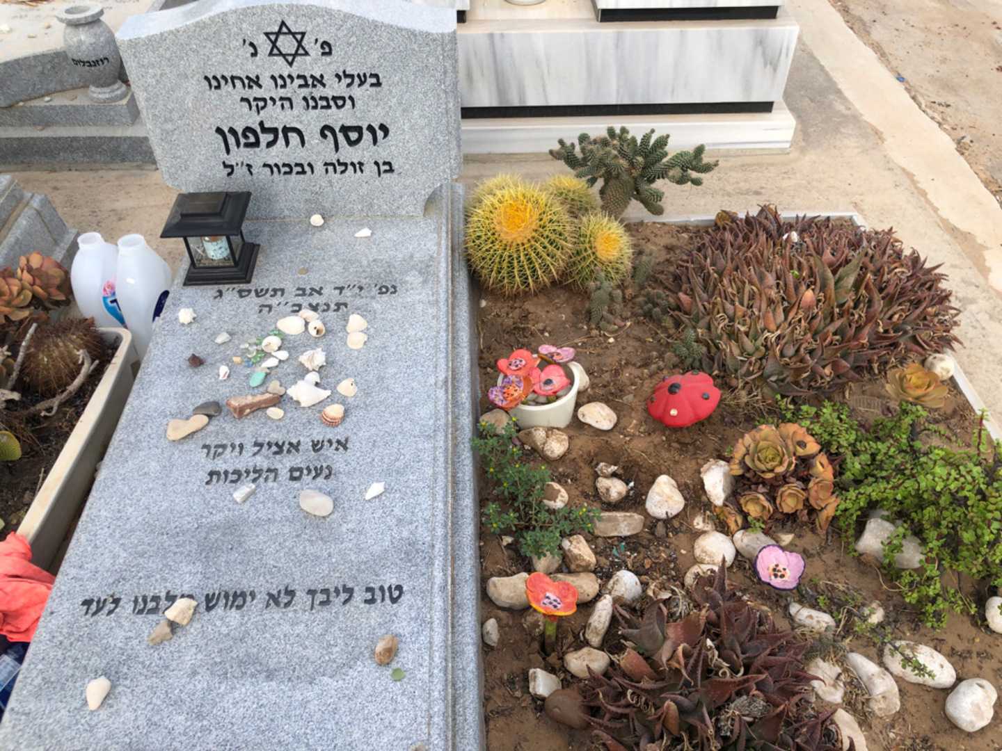 קברו של יוסף חלפון. תמונה 2
