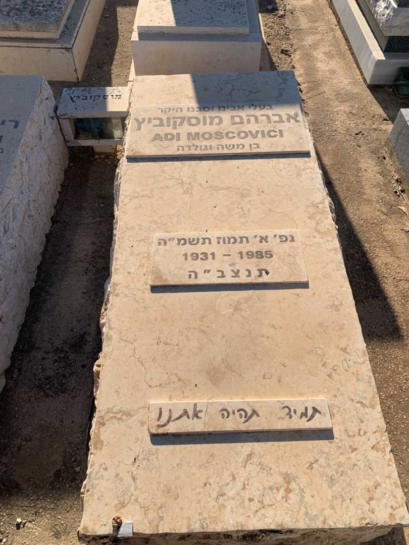 קברו של אברהם "אדי" מוסקוביץ. תמונה 2