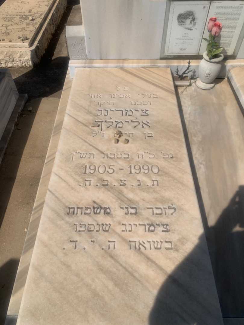 קברו של אלימלך צימרינג. תמונה 2