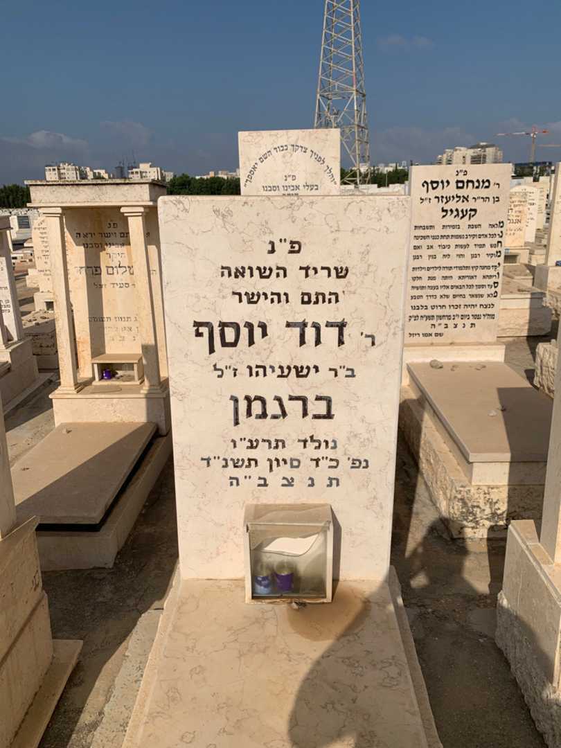 קברו של דוד יוסף ברגמן