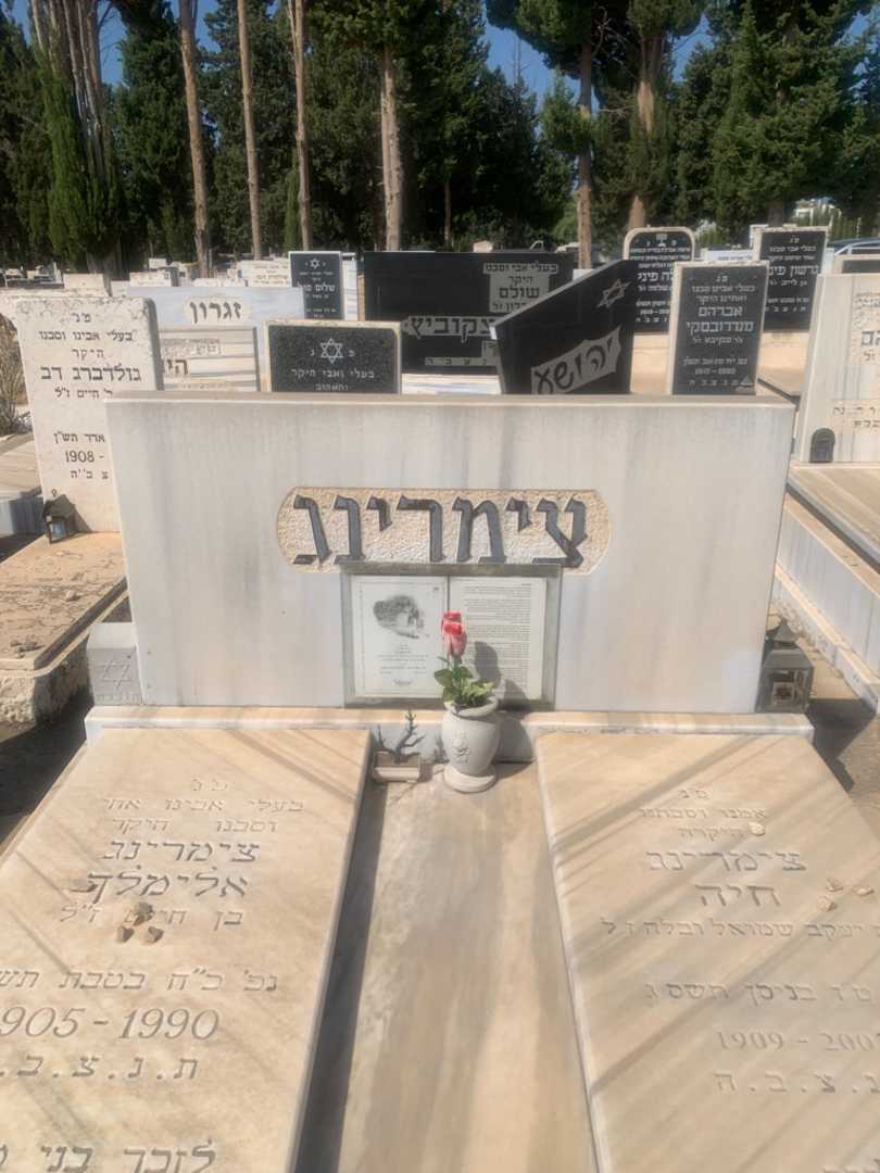 קברו של חיה צימרינג. תמונה 1