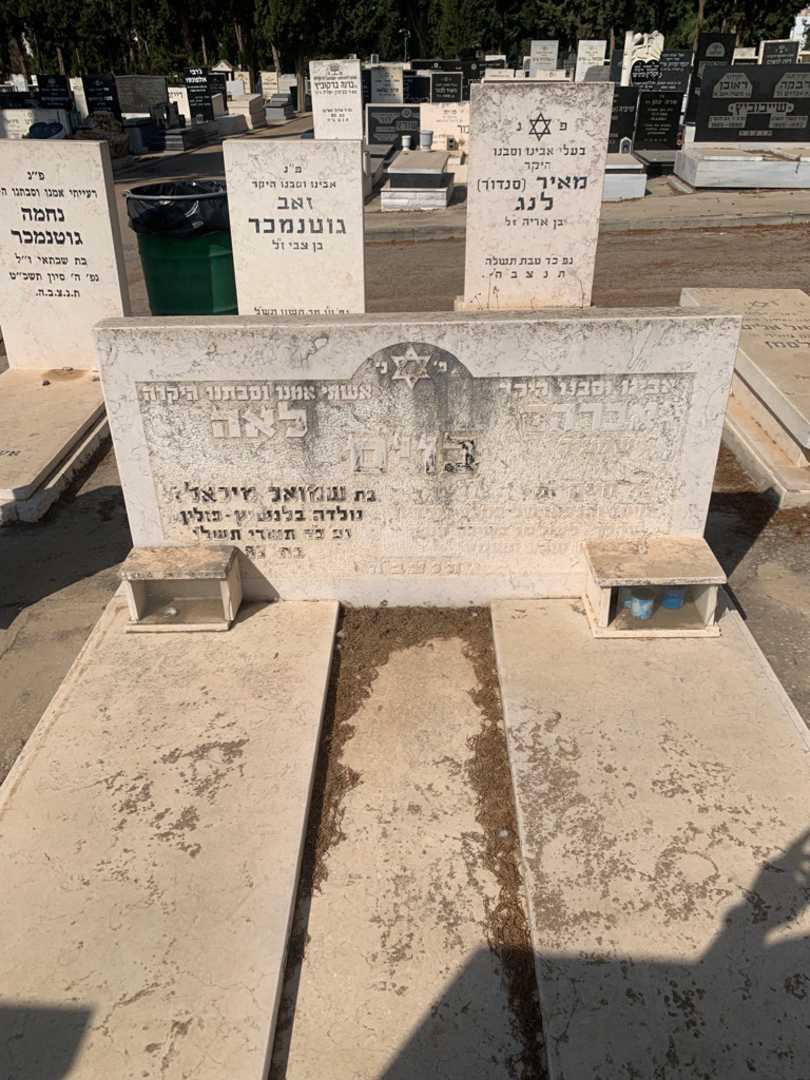 קברו של לאה בוים. תמונה 1