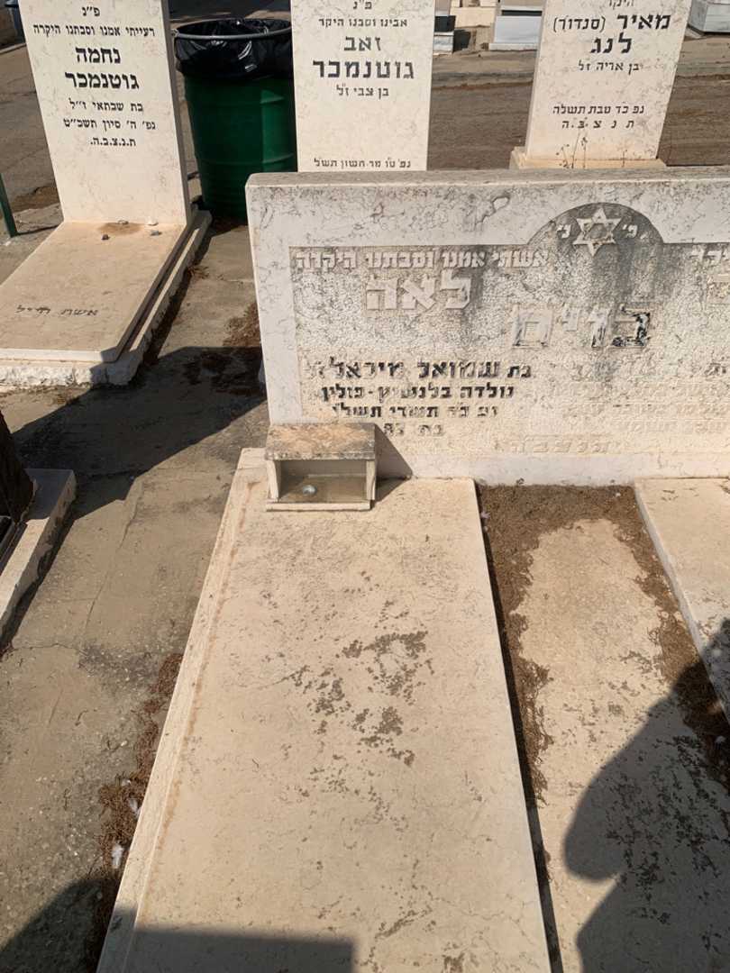 קברו של לאה בוים. תמונה 2