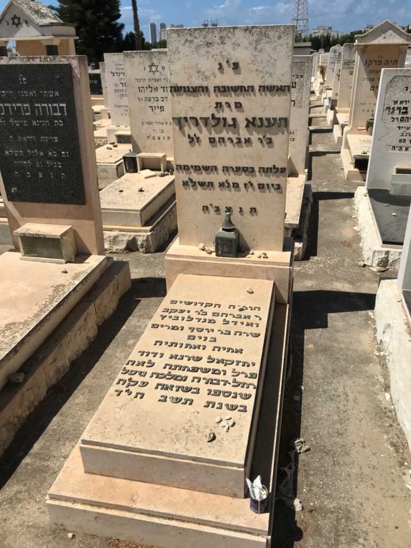 קברו של דוד פרל. תמונה 1