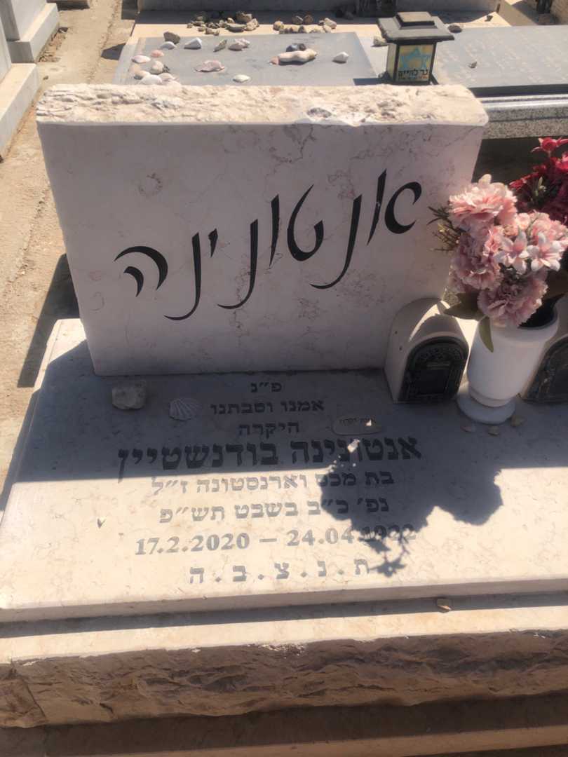 קברו של אנטונינה בודנשטיין. תמונה 1