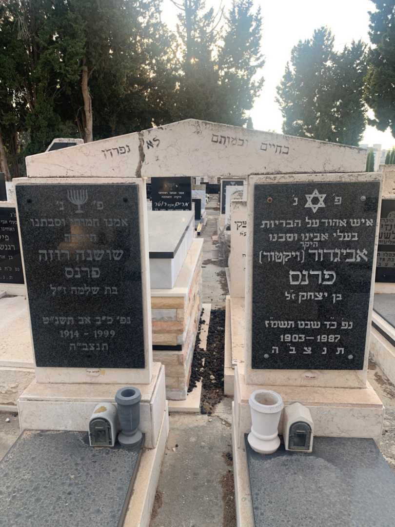 קברו של אביגדור "ויקטור" פרנס. תמונה 1