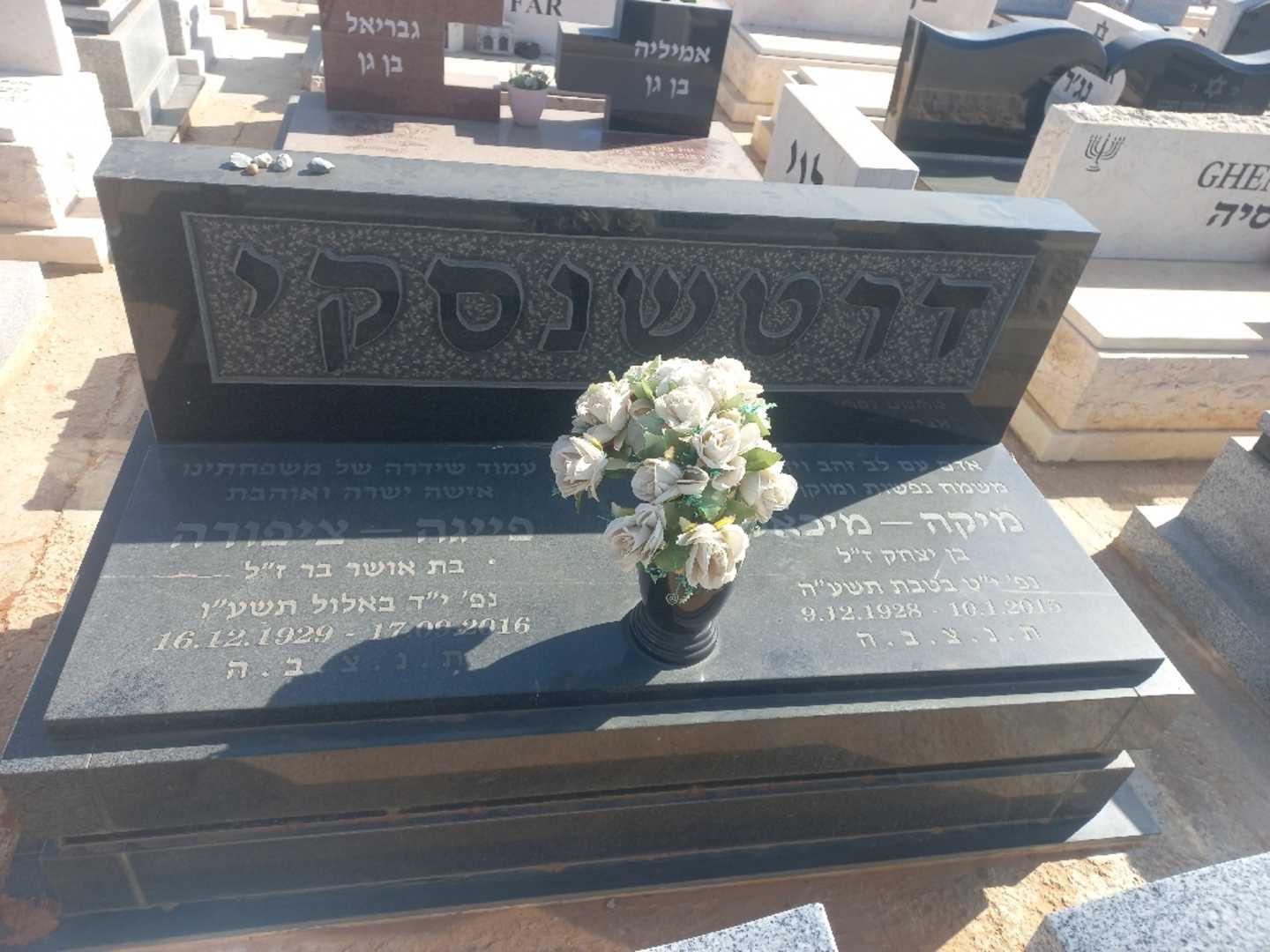 קברו של פייגה - ציפורה דרטשנסקי