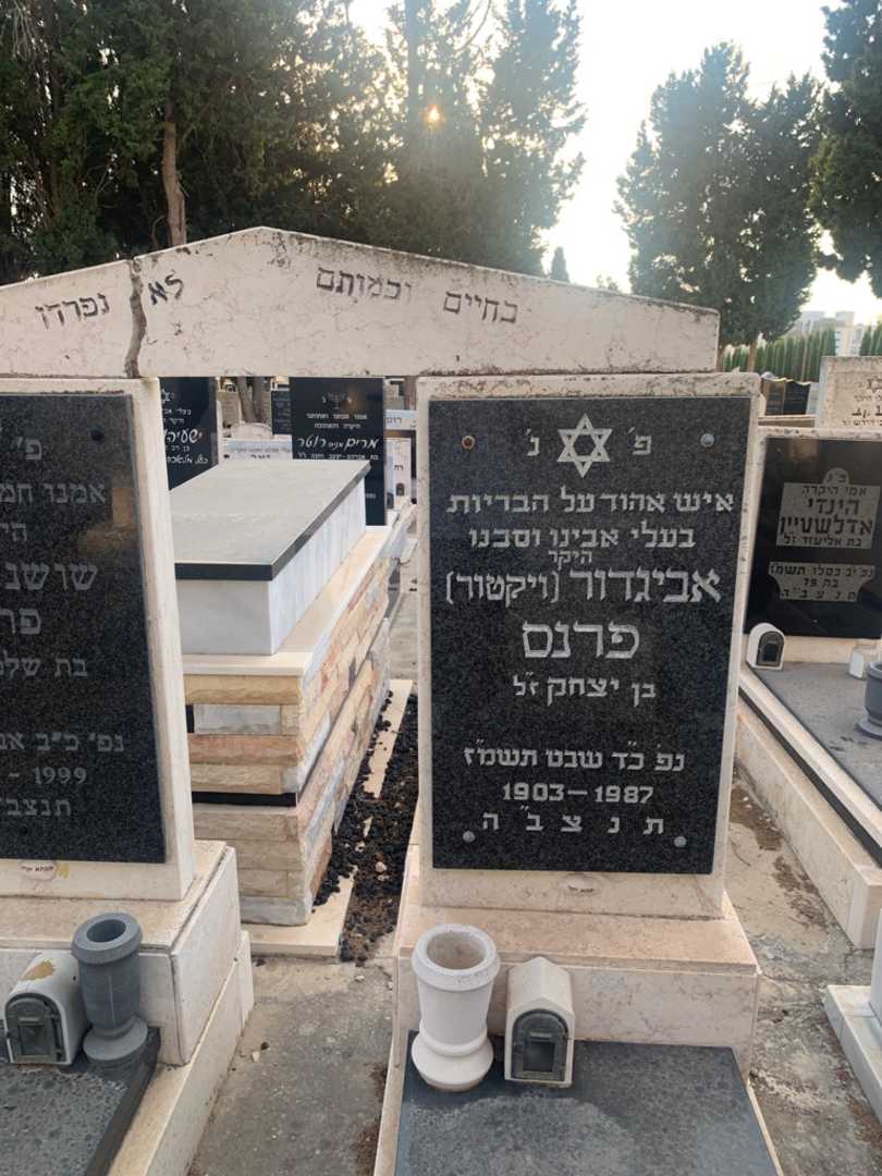 קברו של אביגדור "ויקטור" פרנס. תמונה 2