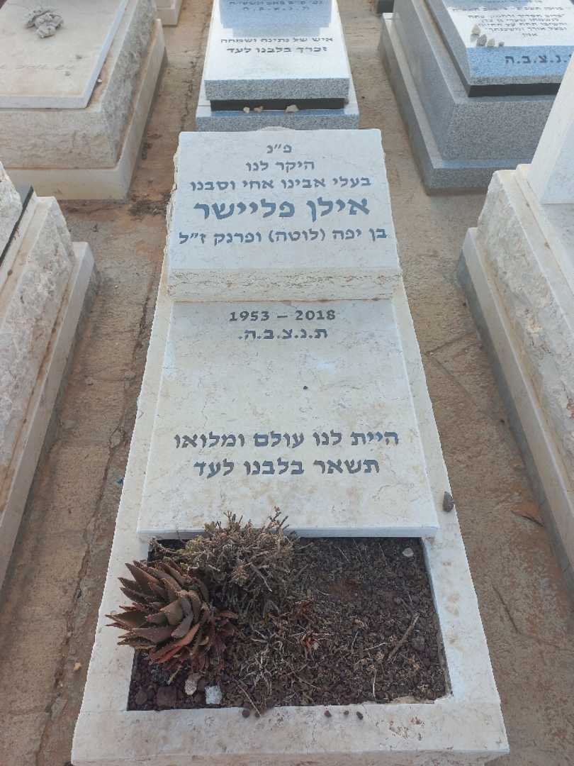קברו של אילן פליישר