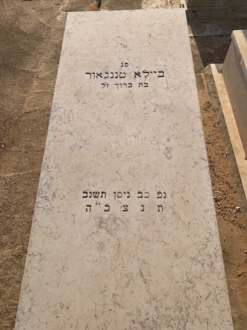 קברו של ביילא טננגאור