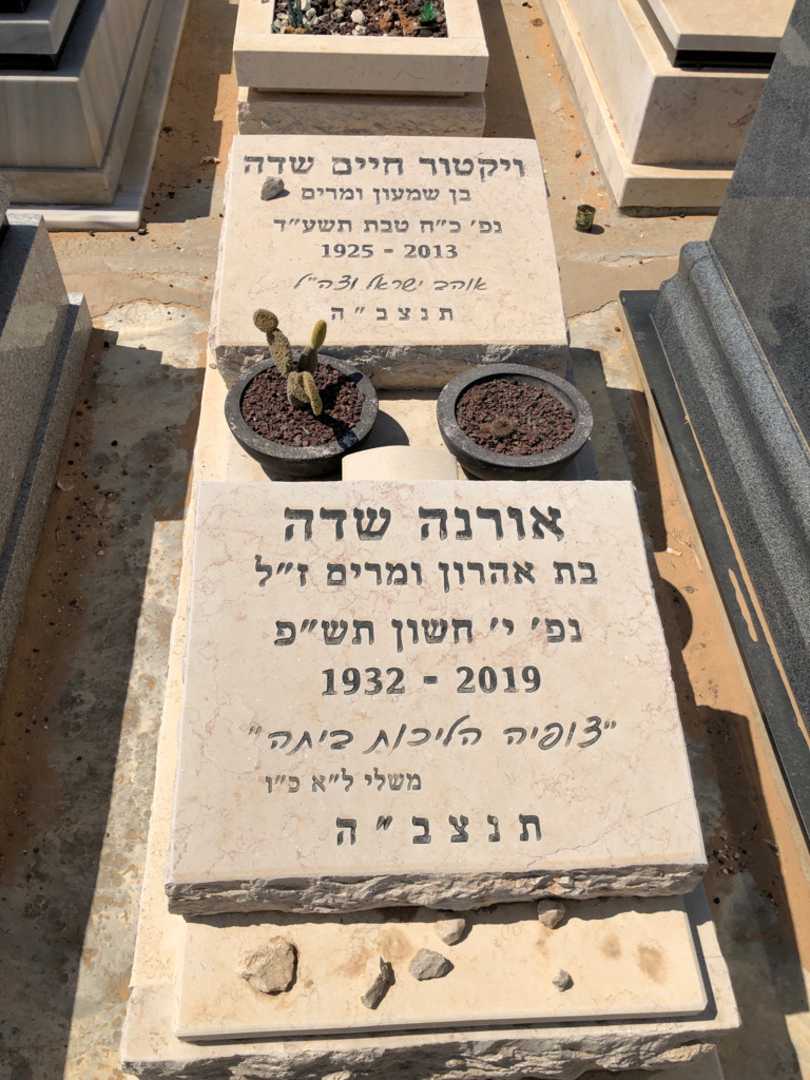 קברו של ויקטור חיים שדה