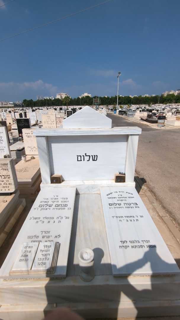 קברו של מנחם שלום. תמונה 1