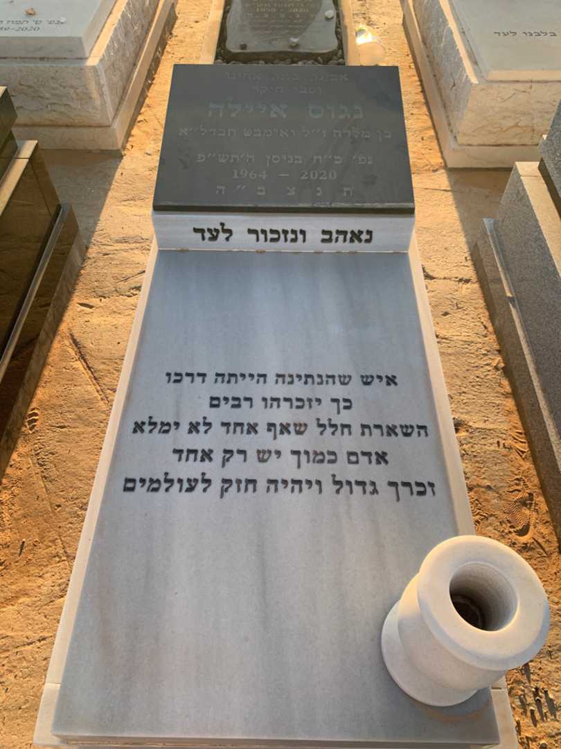 קברו של איילה נגוס