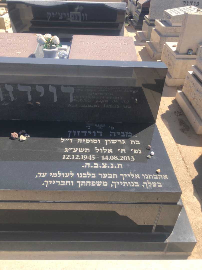 קברו של מניה דוידזון. תמונה 1