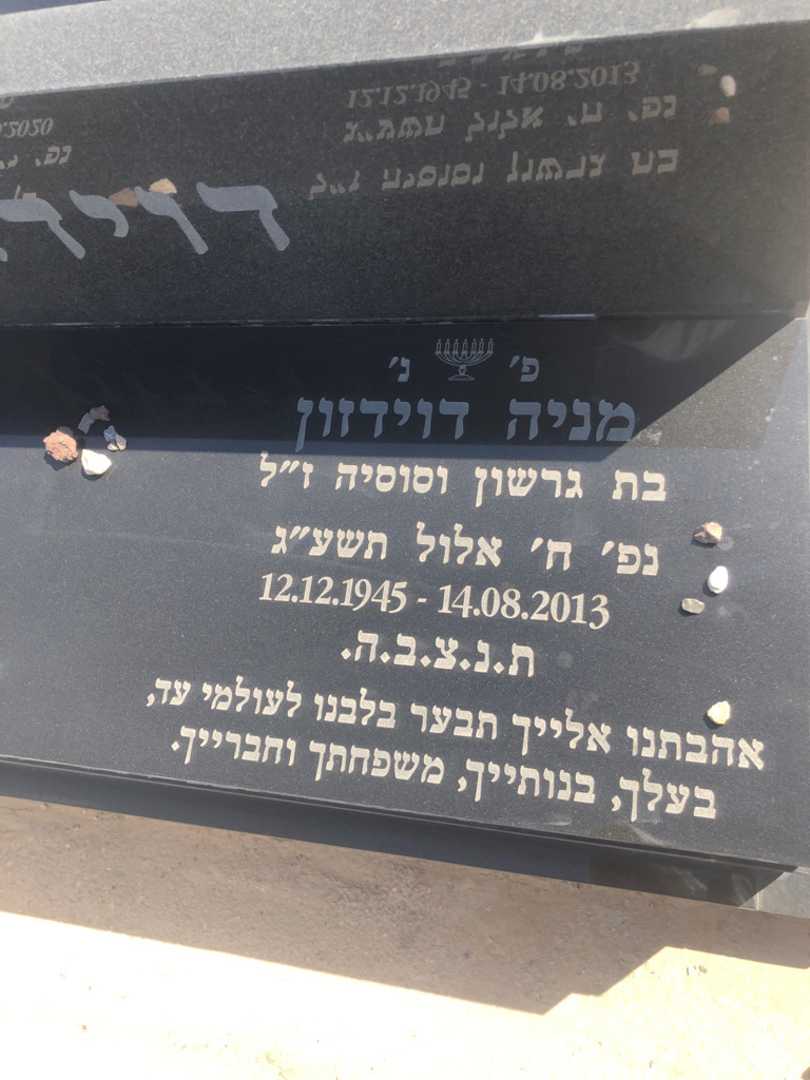 קברו של מניה דוידזון. תמונה 2