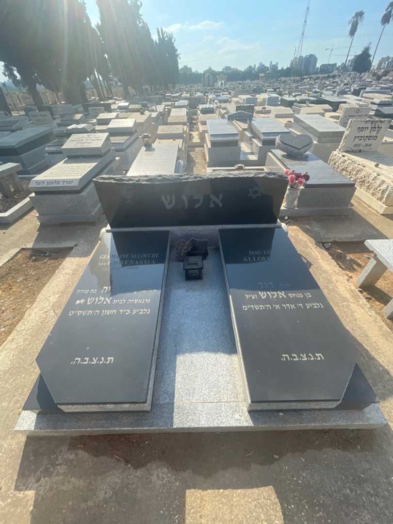 קברו של דוד אלוש. תמונה 1