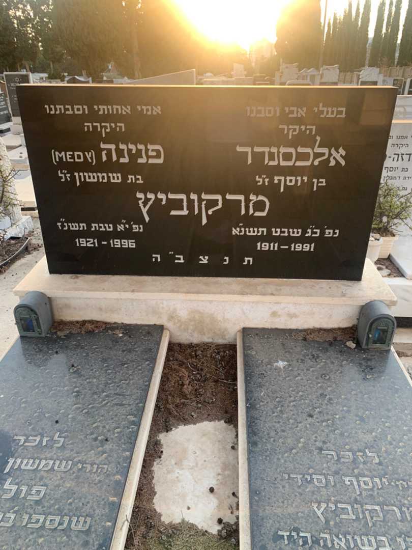 קברו של אלכסנדר מרקוביץ. תמונה 1