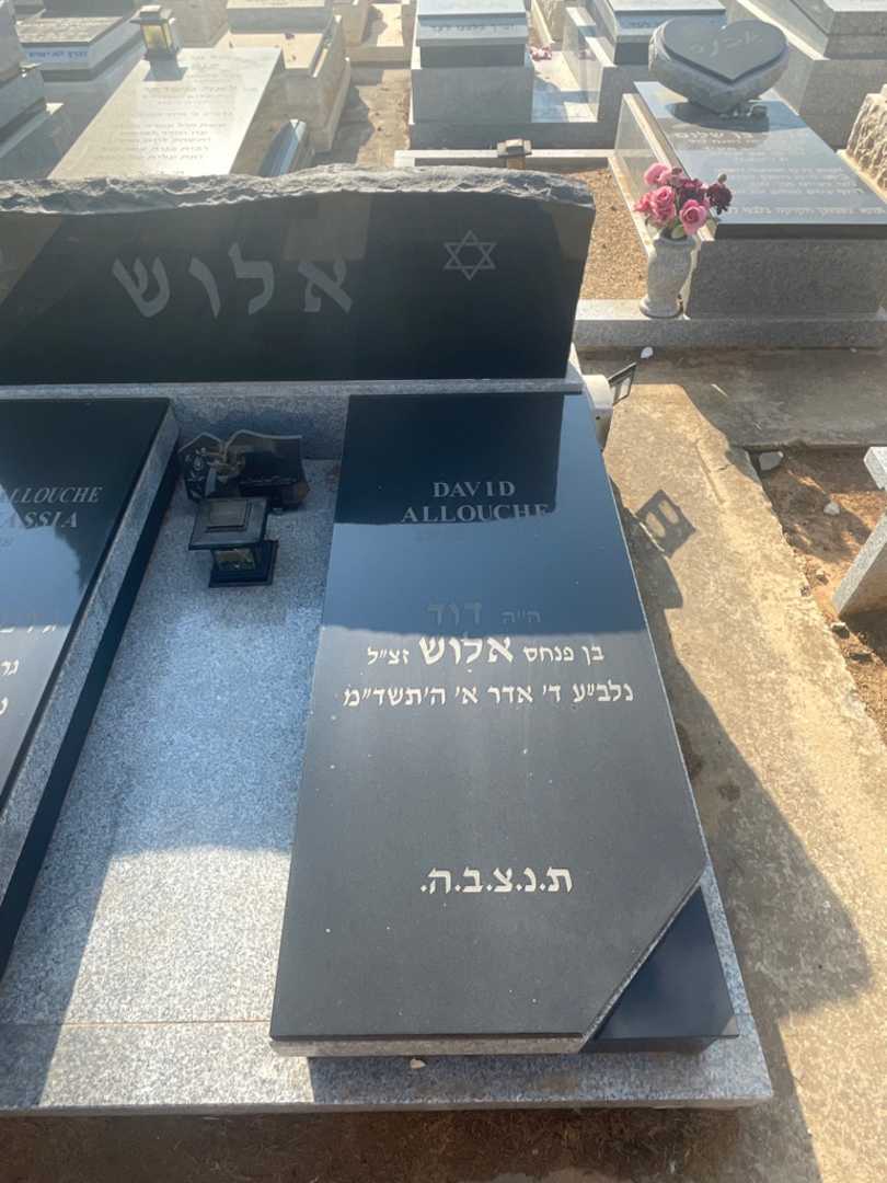 קברו של דוד אלוש. תמונה 2