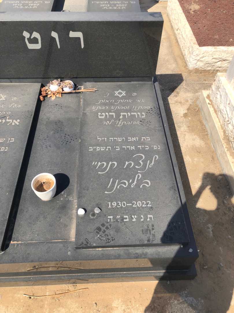 קברו של נורית רוט. תמונה 1