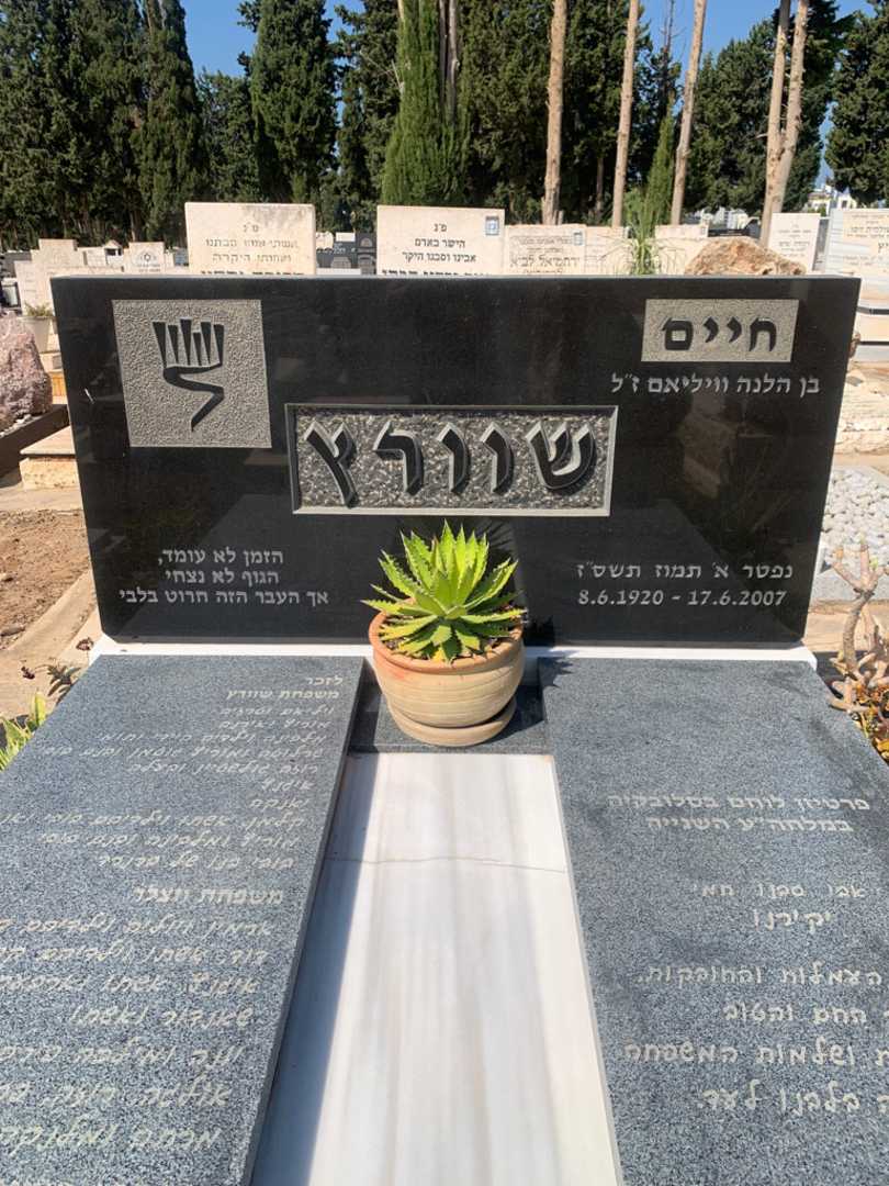 קברו של אנה שוורץ. תמונה 1