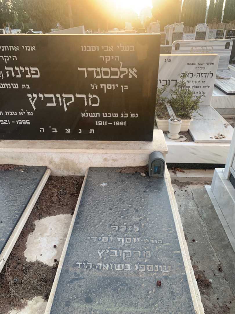 קברו של אלכסנדר מרקוביץ. תמונה 2