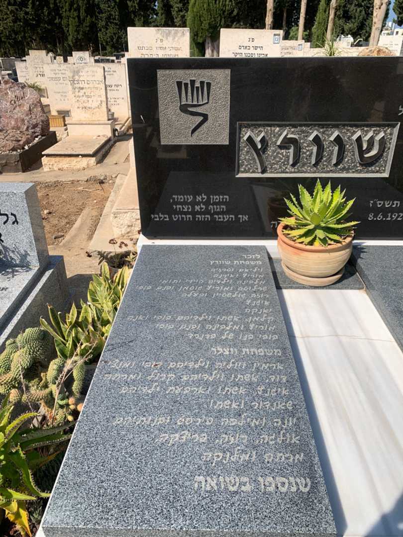 קברו של אנה שוורץ. תמונה 2