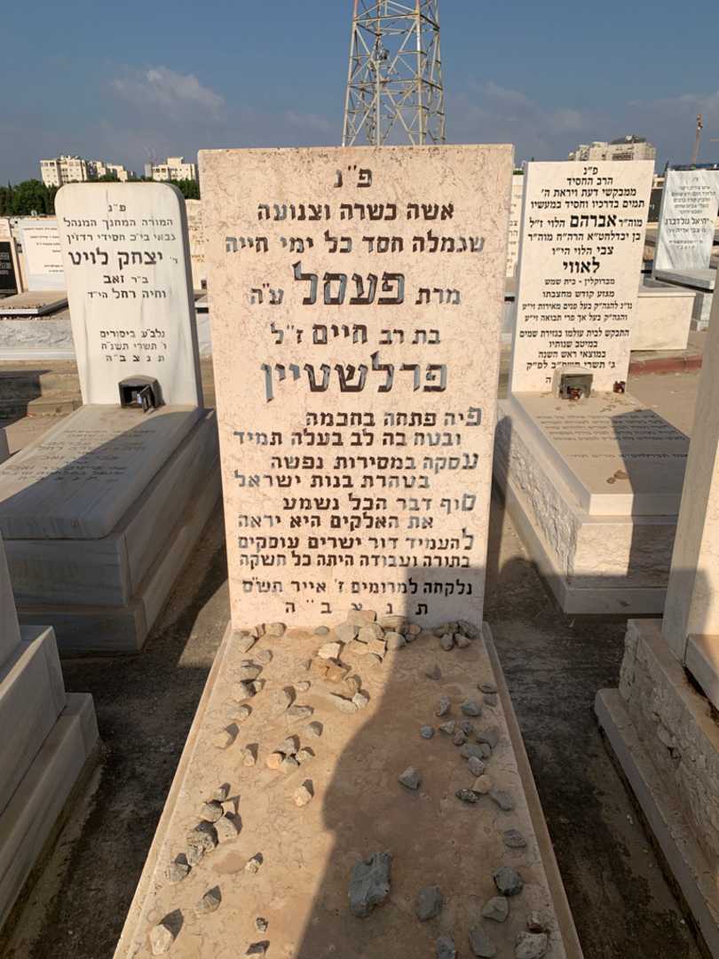 קברו של פעסל פרלשטיין