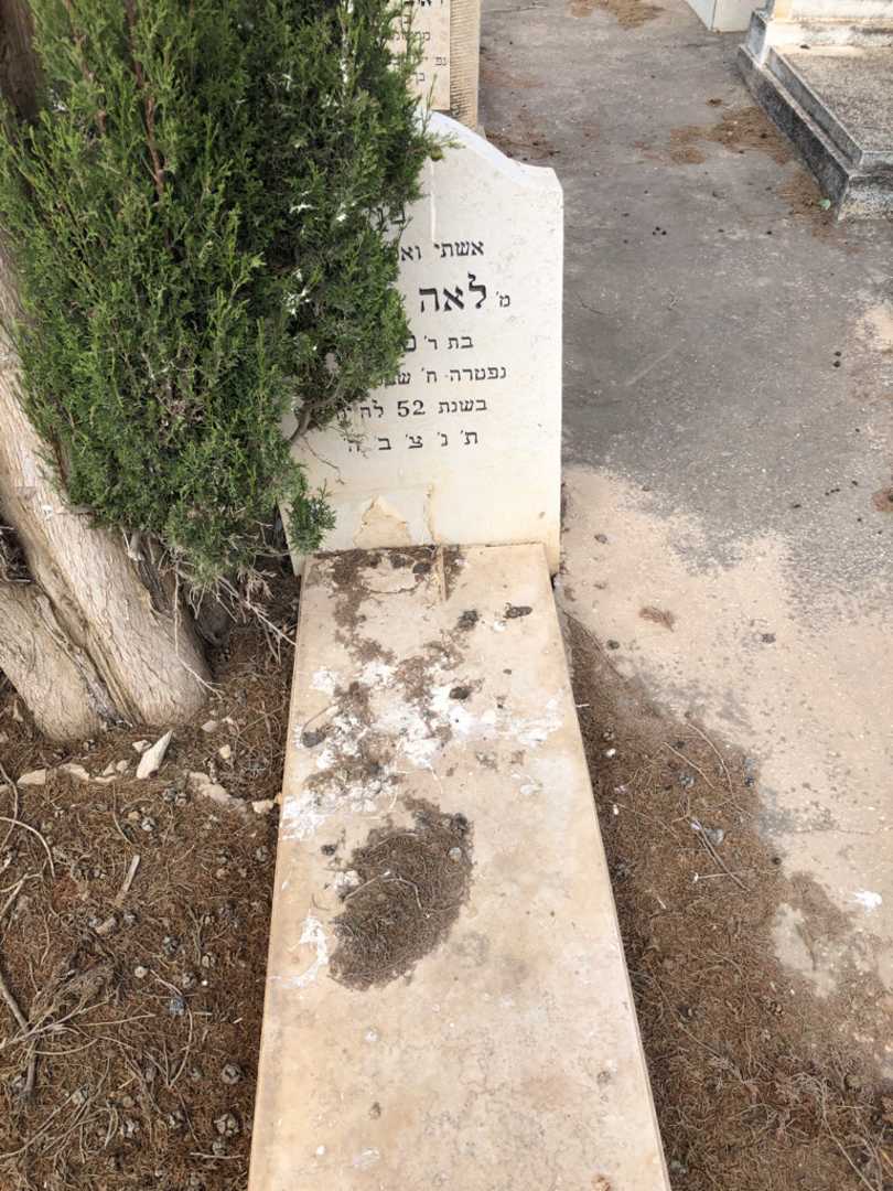 קברו של לאה אלק. תמונה 1