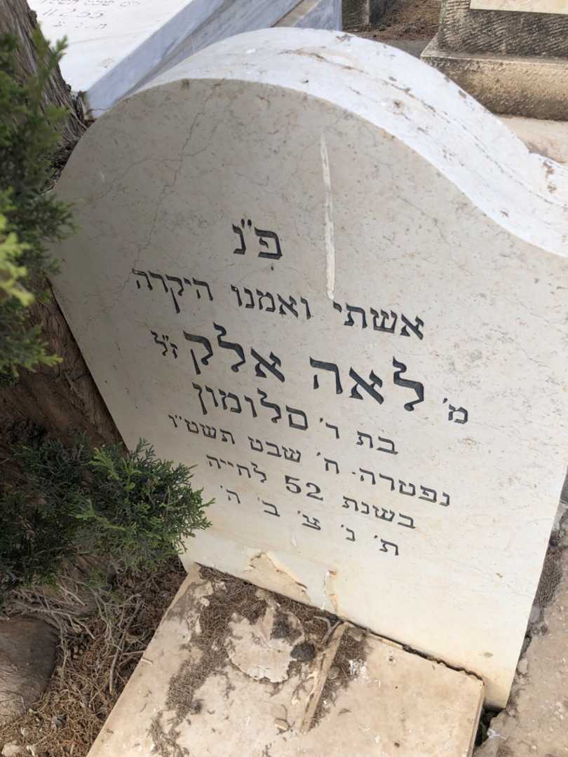 קברו של לאה אלק. תמונה 2