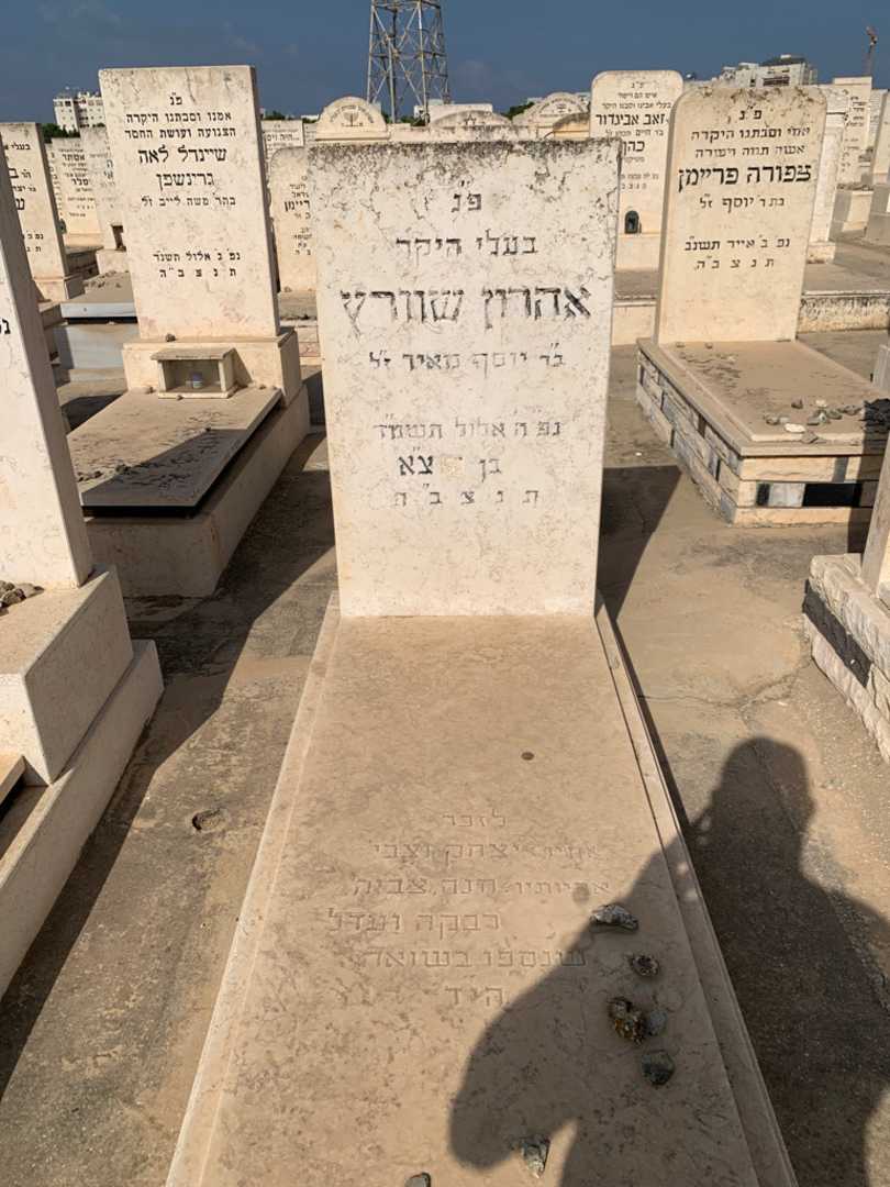 קברו של אהרון שוורץ