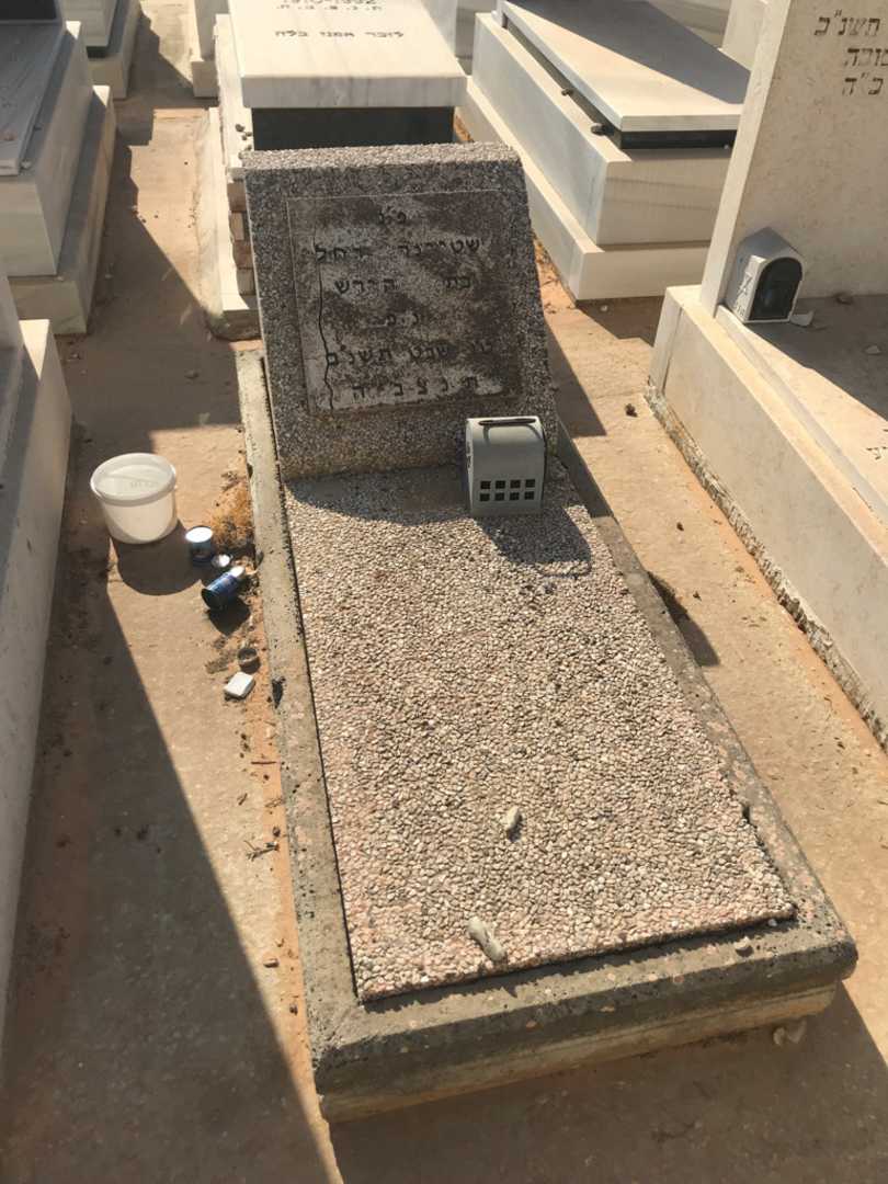 קברו של רחל שטיינר